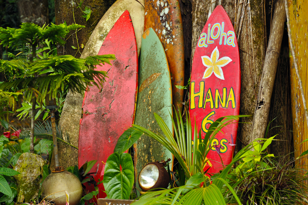 Things to do in Maui Hawaii