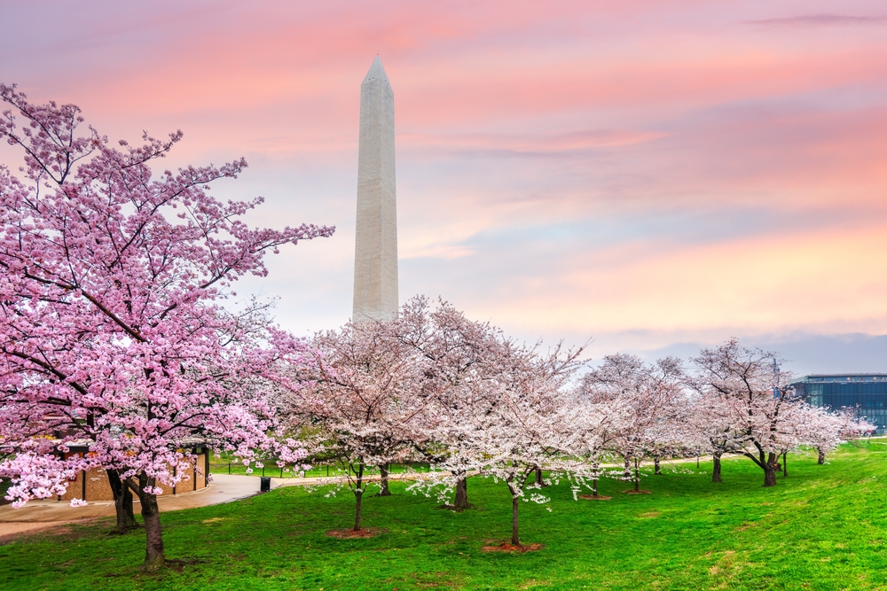 Things to do in Washington DC