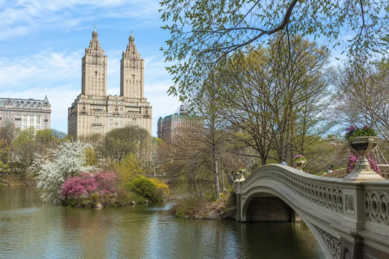 Why visit New York City