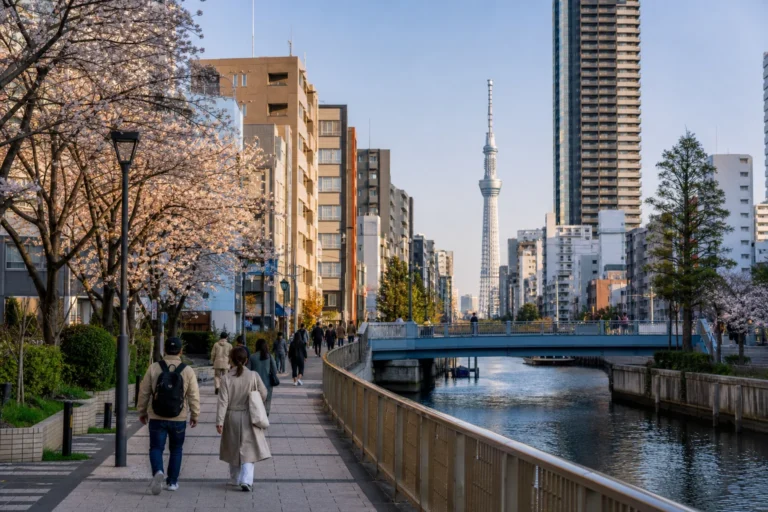 Kom rundt i Tokyo — Oplevelser i Tokyo, Japan