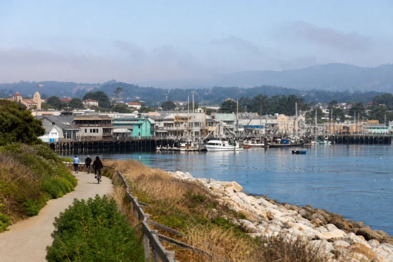 Tại sao đến Monterey? — Những việc nên làm ở Monterey
